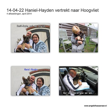 Hayden vertrekt naar Hoogvliet